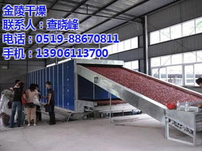 干燥機在化工設(shè)備制造中的應(yīng)用 以金陵干燥海鮮精干燥機為例